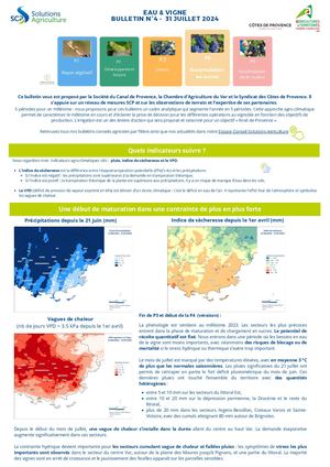 Bulletin Vigne N°4 Août 2024