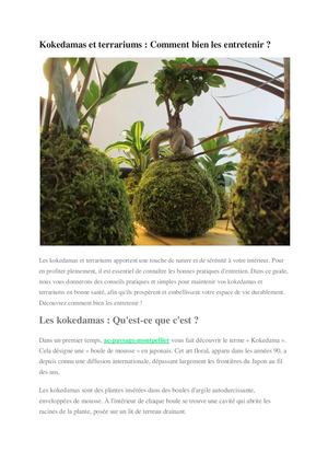 Kokedamas et terrariums : Astuces pour les maintenir sains