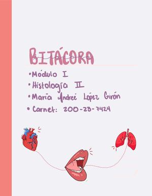 Bitácora Hii