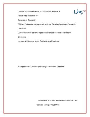 Desarrollo De Competencia