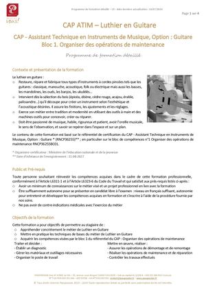 CAP ATIM Luthier Guitare - Programme Détaillé