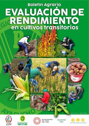 Evaluación De Rendimientos Ayacucho