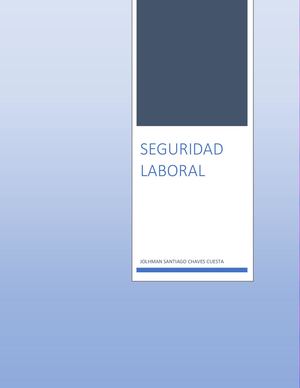 Seguridad Laboral