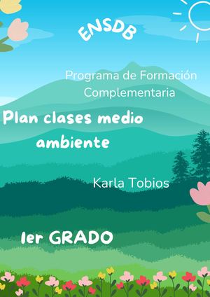 PLAN CLASES MEDIO AMBIENTE- 1ER GRADO