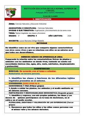 Plan De Clases Naturales Tejidos Vegetales