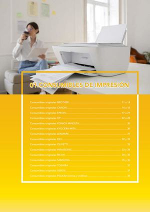 DSG 01 Consumibles de Impresión