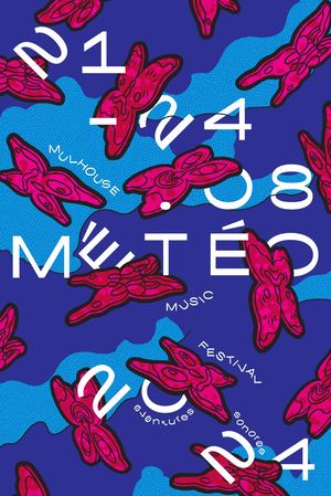 Dépliant Festival Météo 2024