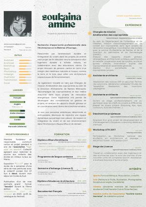 Curriculum Vitae 2024