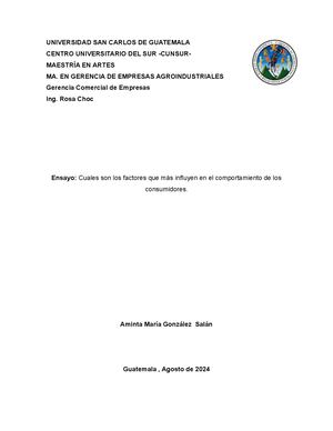 Ensayo, Factores Del Consumidor
