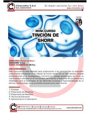 Programa Shorr