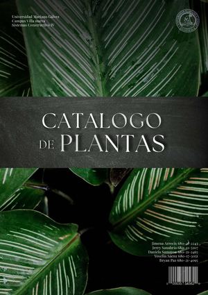Catálogo De Plantas Jardines