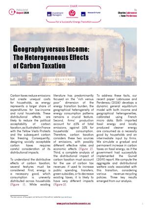 Geography Versus Income: The Heterogeneous Effects Of Carbon Taxation