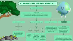 Mapa conceptual Cuidado Del Medio Ambiente Divertido Verde 20240822 001023 0000
