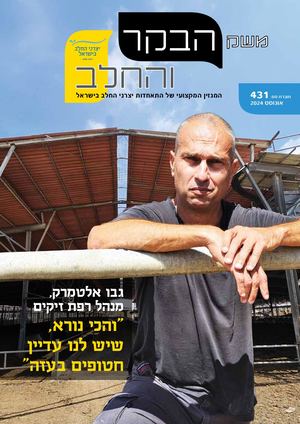 משק הבקר 431, אוגוסט 2024