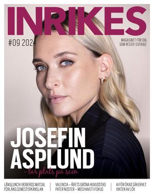 Inrikes 9 2024