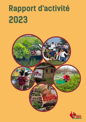 Rapport D'activité 2023 Deux Bouts Compressed