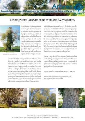 Peupliers Noirs 77