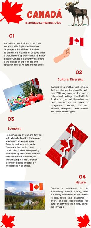 Calaméo - Canadá infographic