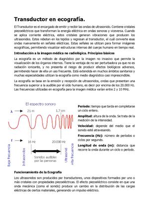 Transductor En Ecografía
