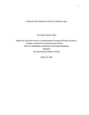 Analisis De Caso población AFROWILCHES