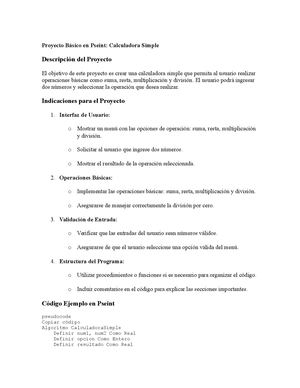 Proyecto Básico En Pseint