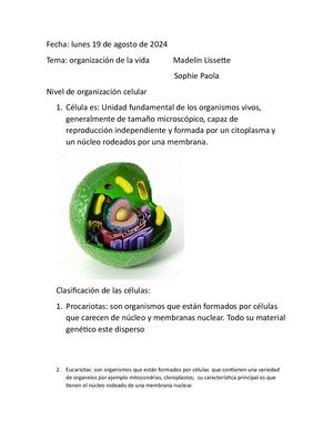 Organizacion De La Vida