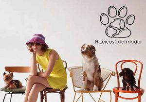 Hocicos A La Moda Catalogo