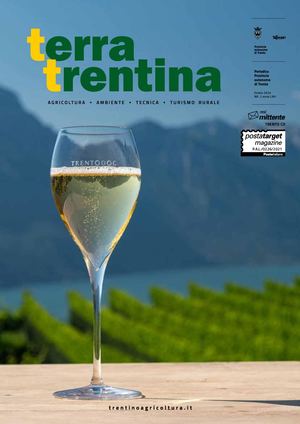 Terra Trentina 2/2024