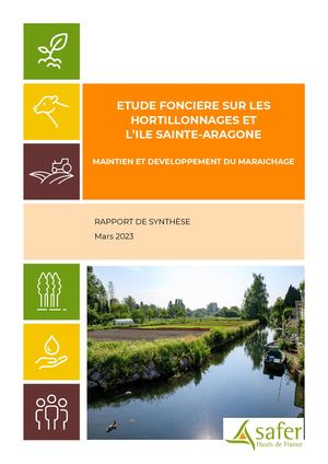 Rapport De Synthèse Final Annexes Anonymisées