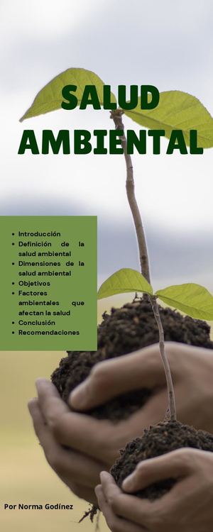 Salud Ambiental