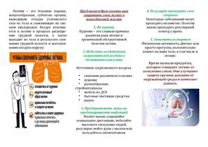 Береги легкие