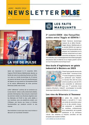 Newsletter Pulse 1