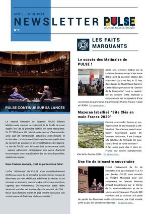 Newsletter PULSE 2