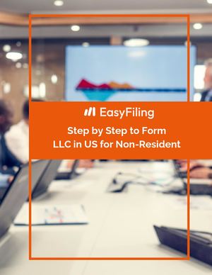 Step by Step to Form an LLC in US for Non-Resident