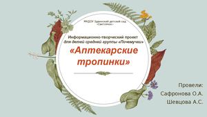 Проект "Аптекарские тропинки 2024" группа Почемучки