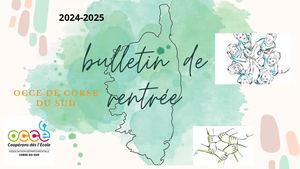 Bulletin De Rentrée 2024 25