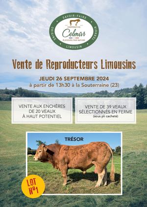Vente de taureaux limousins le JEUDI 26 09 2024