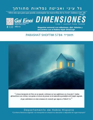 Dimensiones Shoftim 5784 Edición 133