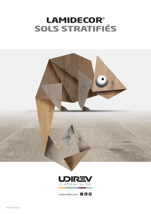 Brochure Lamidecor 2023 Udirev