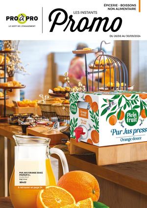 Ipcoll Sec Sept2024 Sp