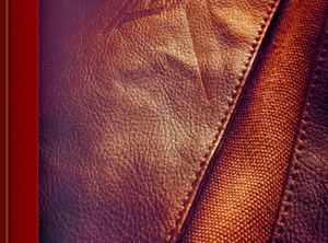 Zep-01 Instalación De Flex Sim