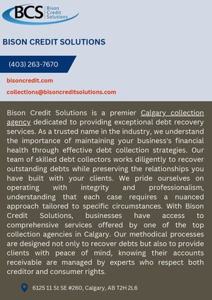 Bison Credit Solutions