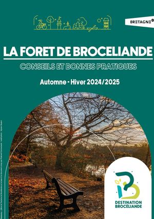 Conseils Pratiques Foret  Brocéliande Automne Hiver