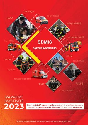 Rapport Activité SDMIS 2023