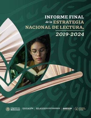 Resumen del Informe Final de la ENL