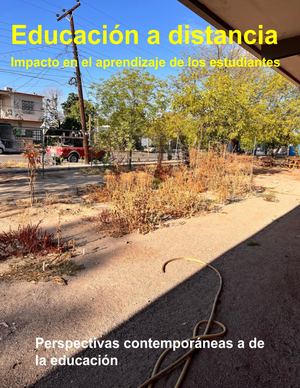 Educacion A Distancia:  Impacto Aprendizaje De Los Estudiantes