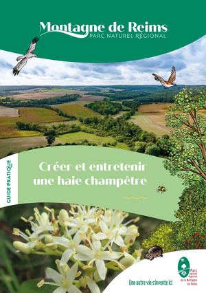 Guide Pratique Créer Et Entretenir Une Haie Champêtre