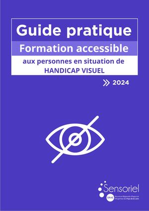 Guide Pratique Formationaccessible Dv 09 24