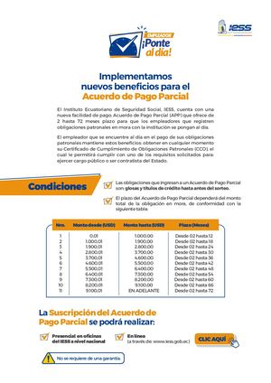 Terminos Y Condiciones Para El Acuerdo De Pago Parcial V3