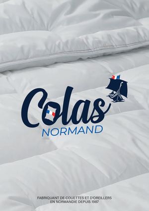 CSE / Colas Normand
